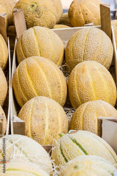 Fototapeta white melon