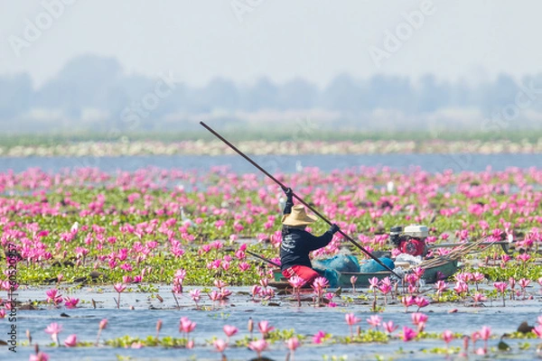 Obraz The Thai native fisherman finding some fish