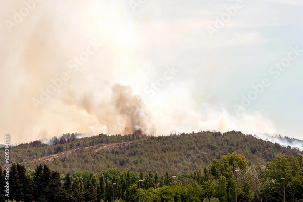 Fototapeta Panache de fumée d'un incendie de forêt