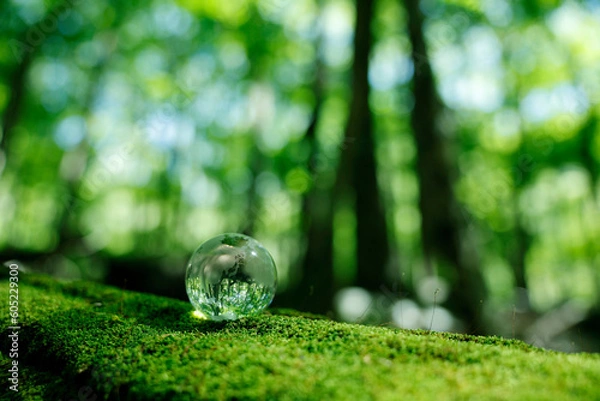 Obraz エコイメージ　森林　ガラスの地球