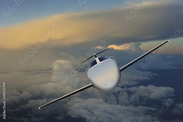 Obraz Executive in flight at sunset