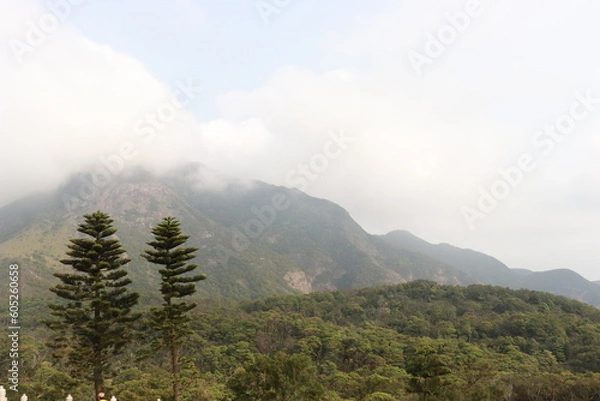 Obraz misty mountain landscape