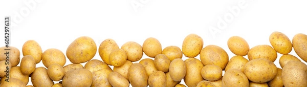 Fototapeta a heap of potatoes as banner, border, headline, header or panorama, isolated on transparent background PNG file