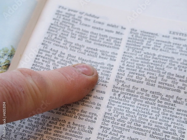 Fototapeta pointing out