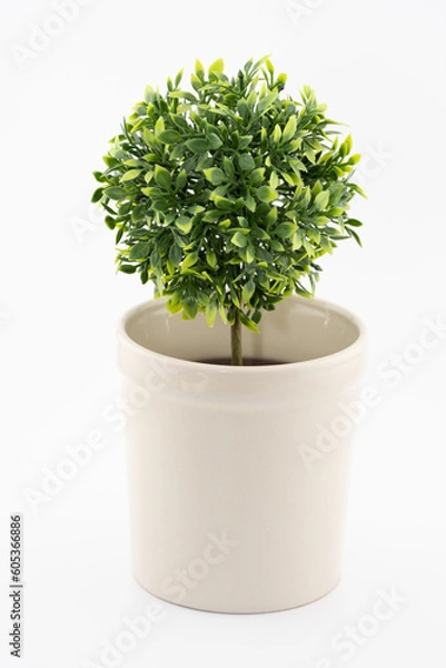 Obraz 緑の葉　植物　フェイクグリーン