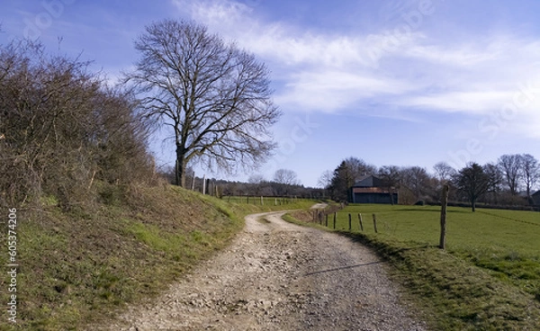 Obraz Petit chemin de campagne