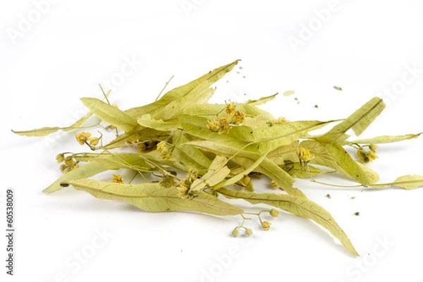 Obraz Dried linden tea on a white background