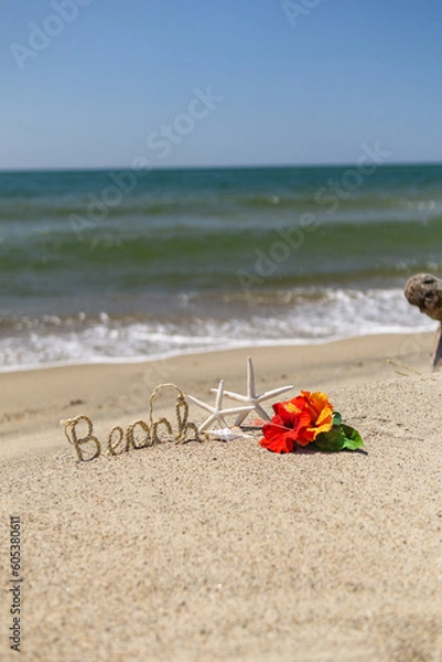 Fototapeta 砂浜と貝がら