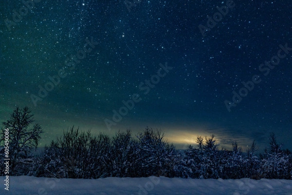 Fototapeta Landscape of the night sky with bright stars and green northern lights on the background of the road, trees, nature, snow in winter