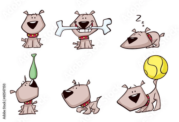 Obraz cute brown dog