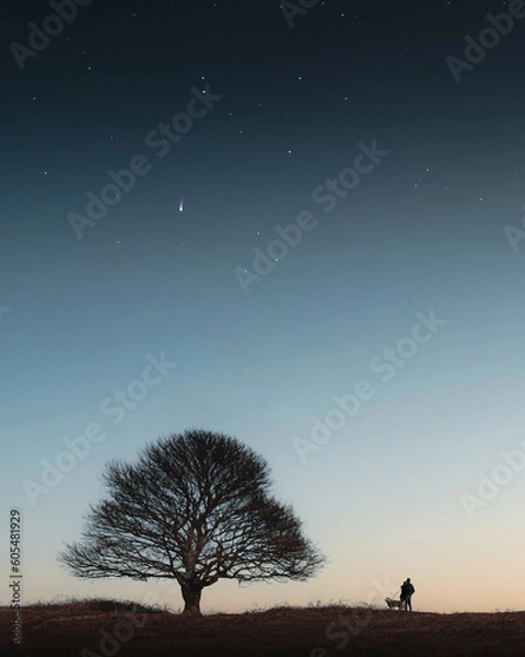 Fototapeta Shooting Star