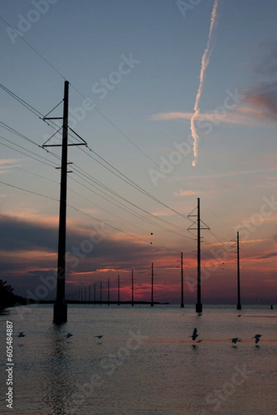 Fototapeta power lines at sunset