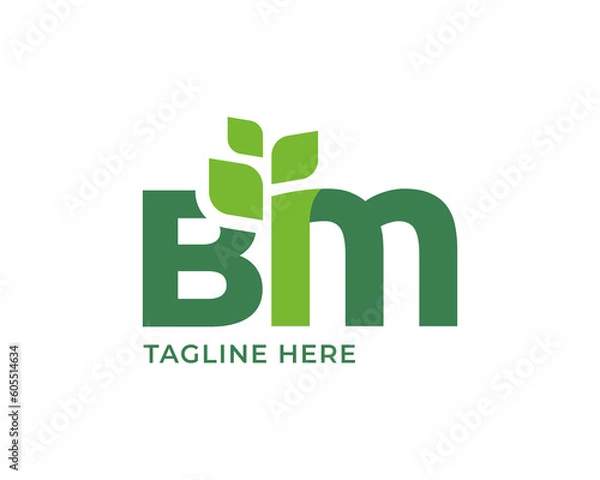 Obraz Letter BM leaf nature logo