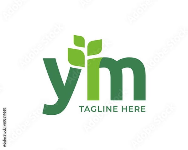 Obraz Letter YM leaf nature logo