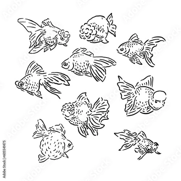 Fototapeta illustration of a goldfish with various shapes