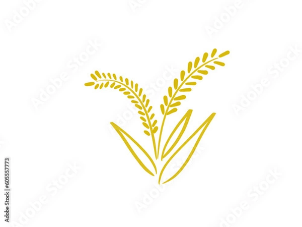 Obraz Golden rice is an important food. Can be processed in a variety of ways, useful, can be used as a logo
on a white background.