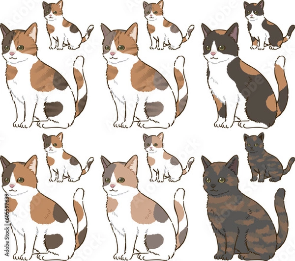 Obraz 色々な毛色の三毛猫