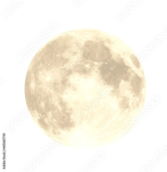 Obraz Moon isolated on white background