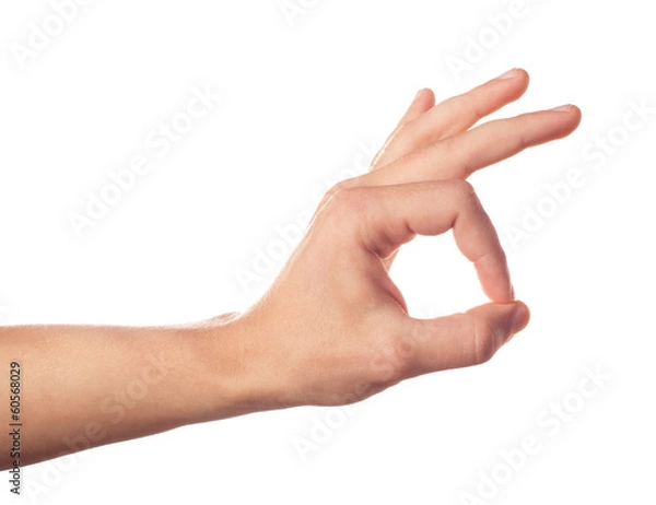 Obraz Gesturing human hand on white background