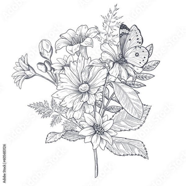 Fototapeta A bouquet of early spring flowers. Botanical style of engraving illustration. Vector. Black and white