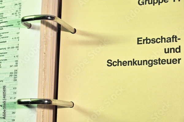 Obraz steuern
