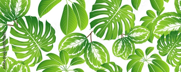 Fototapeta Seamless tropical summer pattern with exotic green leaves calathea and monstera.