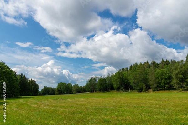 Fototapeta Green fields with trees and clouds in the background.