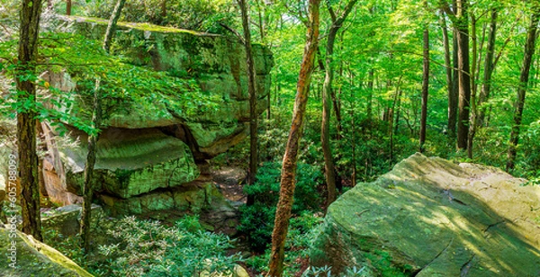 Fototapeta A beautiful forest view of large rock formations and trees.