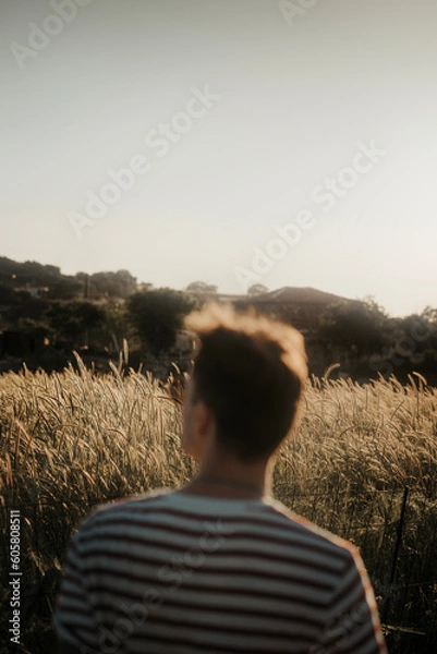 Obraz person watching the sunset