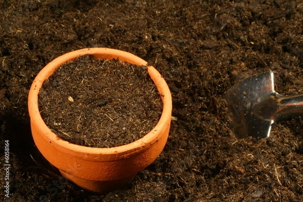 Obraz terreau et pot de terre