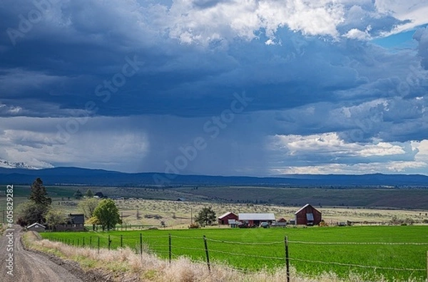 Fototapeta Spring Rain Squall in the high desert 