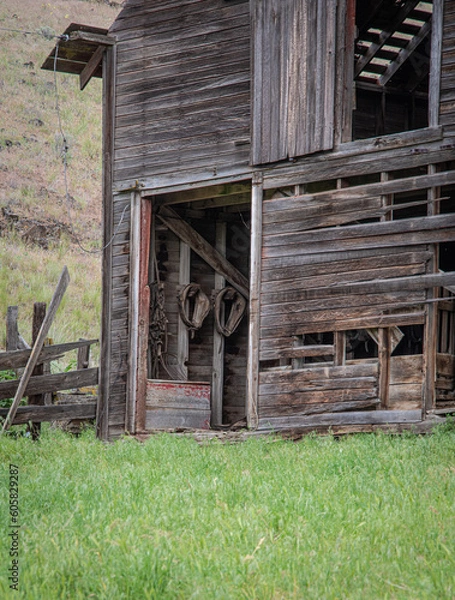 Fototapeta Harness still hanging in an abandoned barn 