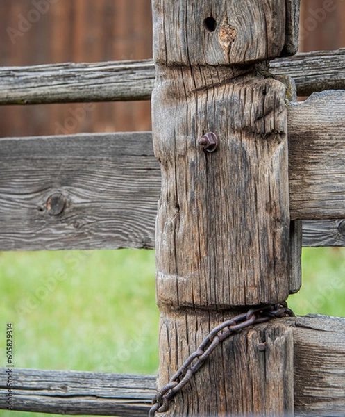 Obraz Well weathered corral gate 
