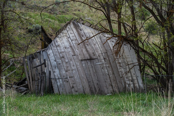 Obraz old barn in the woods