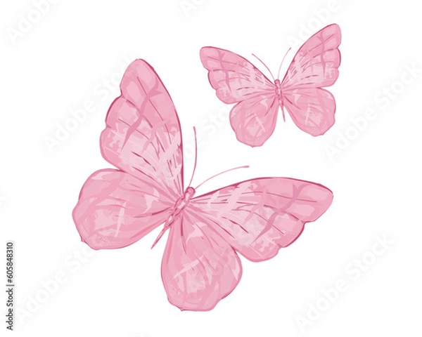 Obraz butterfly on a white background