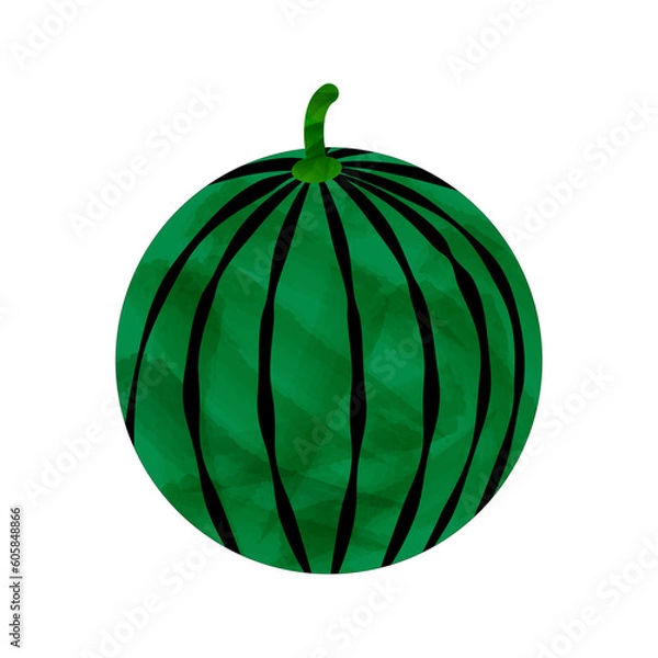 Obraz まるごとスイカの水彩風ベクターイラスト