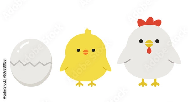 Fototapeta 卵から成長するかわいいニワトリとヒヨコの全身イラスト