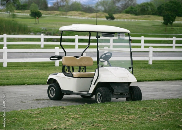 Obraz golf cart