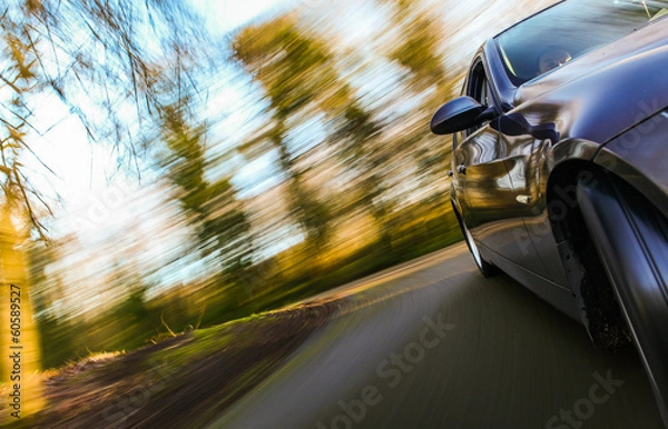 Obraz Samochód pędzący w lesie.