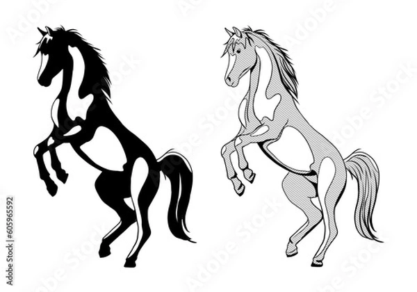 Fototapeta Vector drawing of black and white graphic horses standing upright