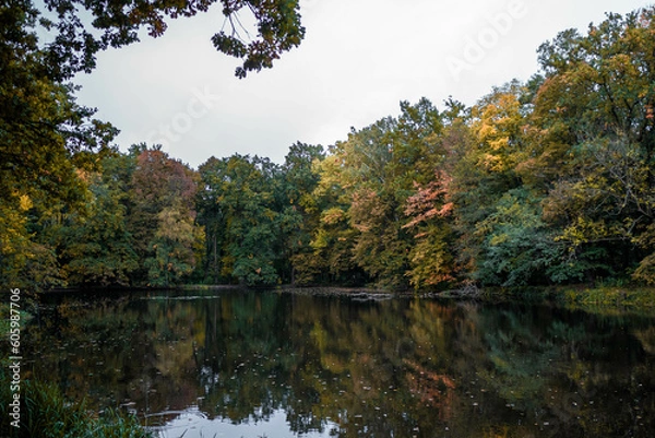 Obraz Rudy - Jesień