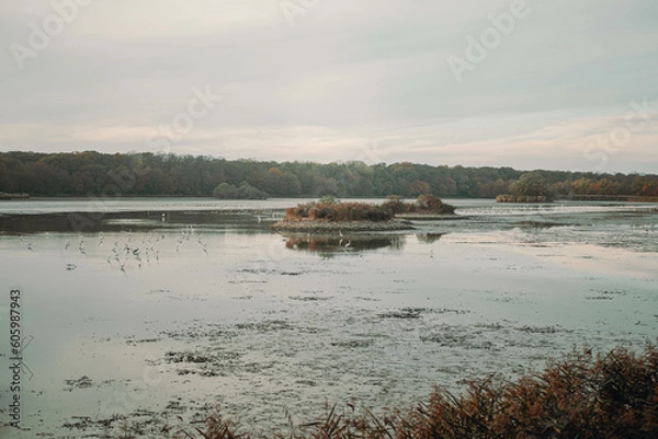 Obraz Łężczok - Jesień
