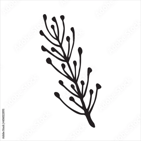 Fototapeta Floral elements hand drawn vector illustration, isolated on white background, branch of a tree with flowers