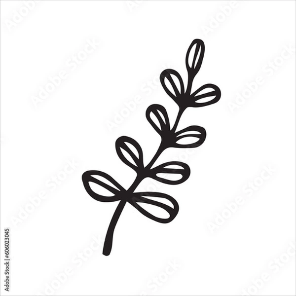 Fototapeta abstract floral design, Floral elements hand drawn vector illustration, isolated on white background