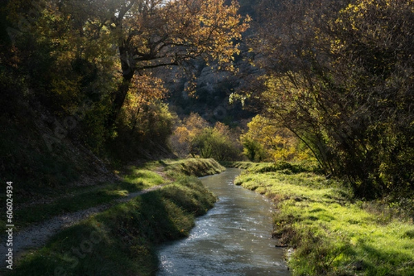 Obraz Sunny view of the diversion canal of an old mill which has become a micro hydroelectric power station. A pad. Trees with autumnal colors. Provence in France.
