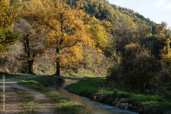 Obraz Sunny view of the diversion canal of an old mill which has become a micro hydroelectric power station. A small bridge. Trees with autumnal colors. Provence in France.