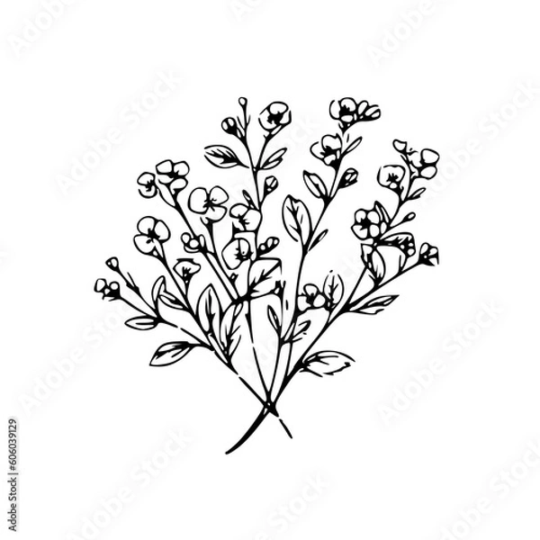 Fototapeta Twig vector illustration isolated on transparent background