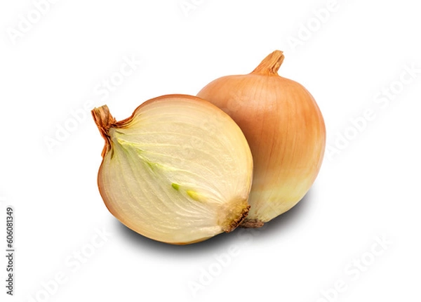 Obraz onion isolated on white background