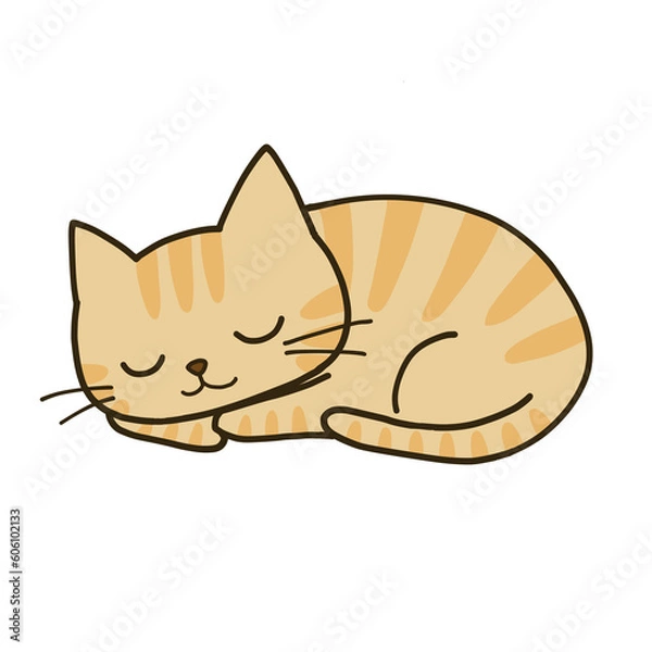 Obraz 丸まって眠るシンプルな茶トラ猫
