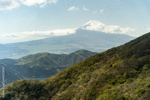 Obraz Mt. Fuji